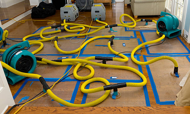 Professional Crawl Space Water Removal technician working in West Hills, NY